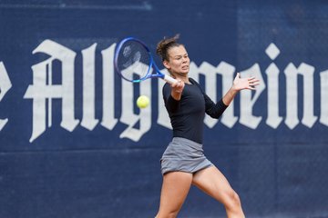 Bild 460 - BL DTV Hannover - BW Dresden Blasewitz : Ergebnis: 2:7